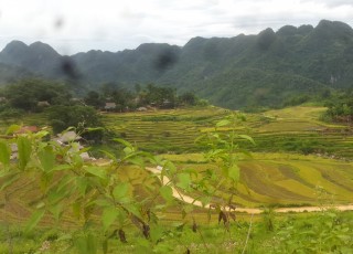 PU LUONG HIGHLIGHTS TOUR 2 DAYS 1 NIGHT 